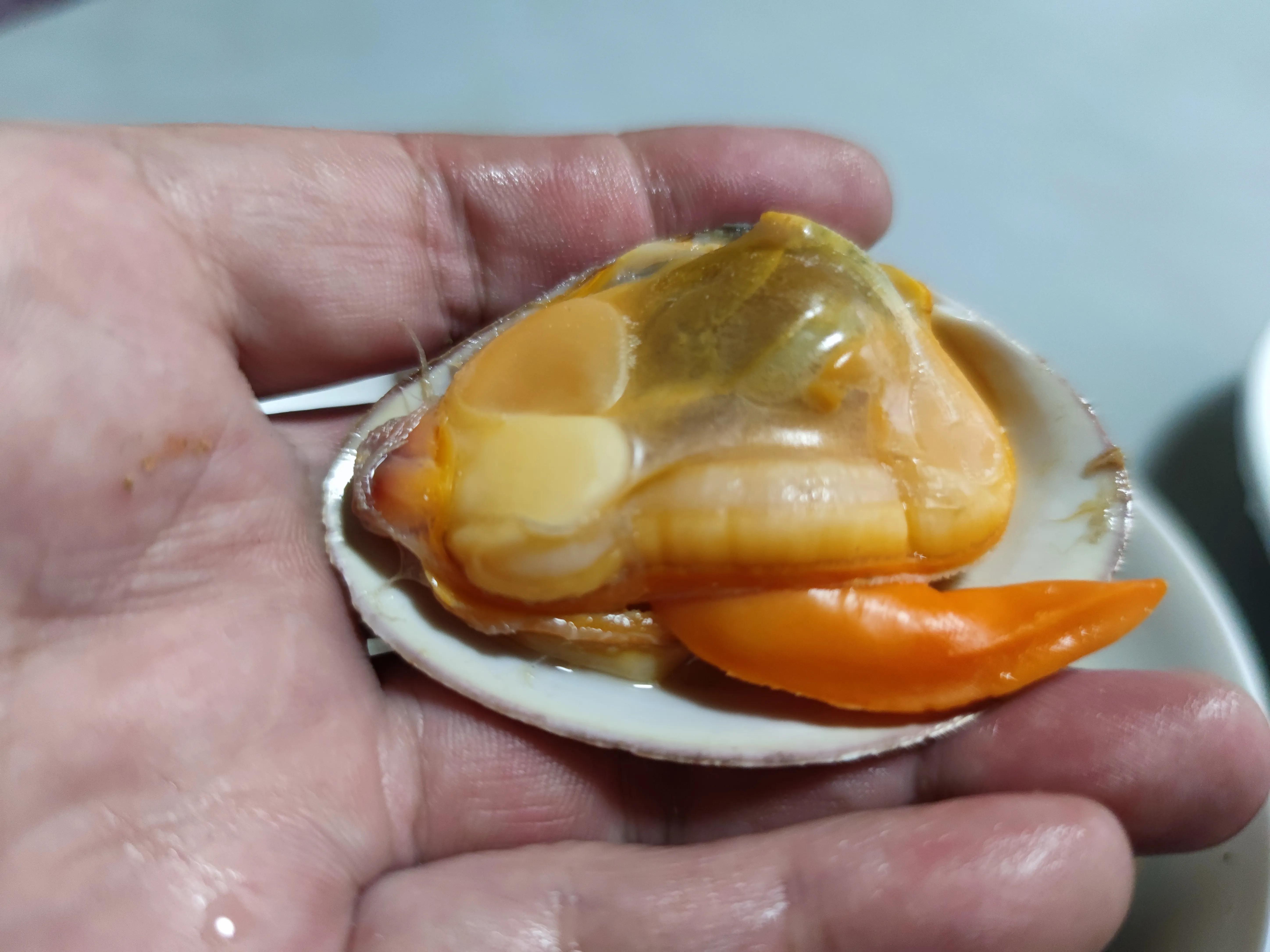 五一大连便宜的海鲜,大连春季特色小海鲜