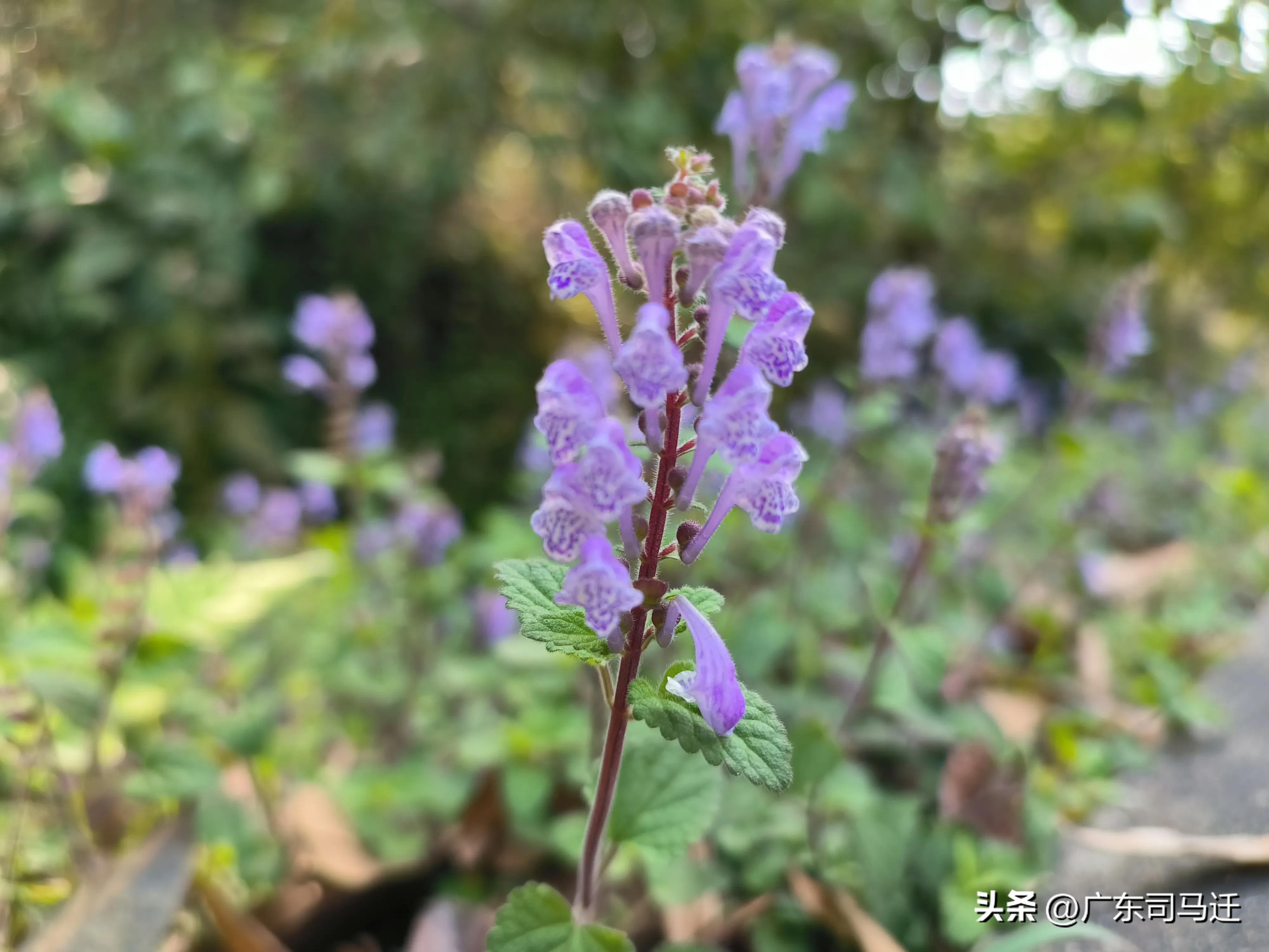 好玩的中山公园,中山公园这儿真美