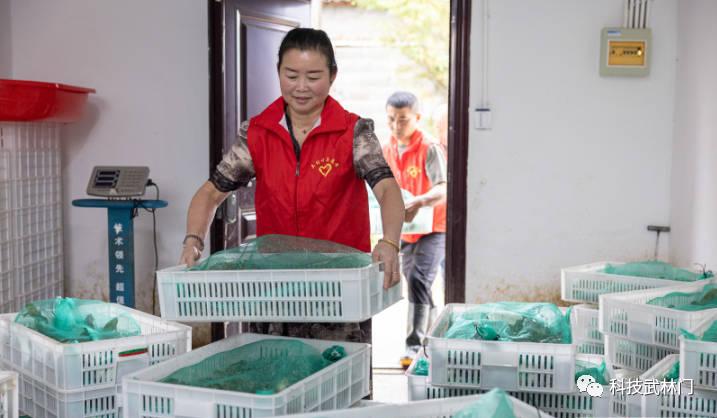 探索稻渔养殖新模式助力乡村振兴,科协多举措助力乡村振兴