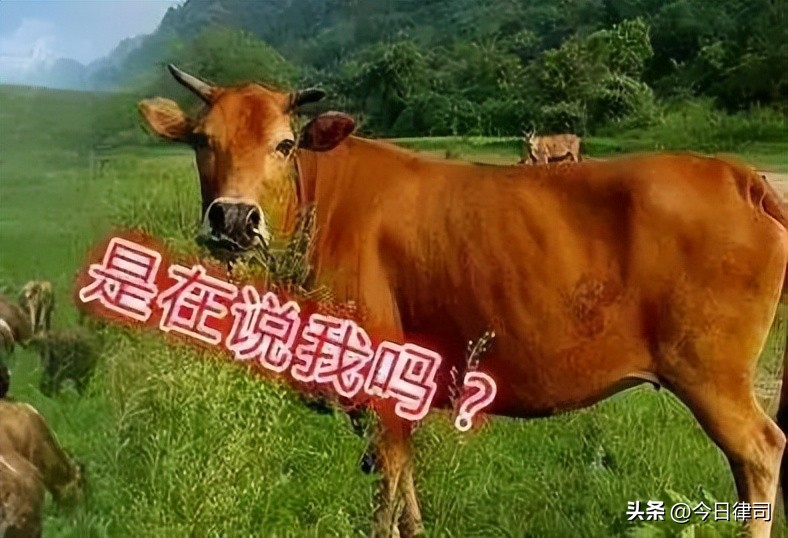 黄牛代抢九价HPV疫苗,多名女子被骗数万元!警方:追不回来了...