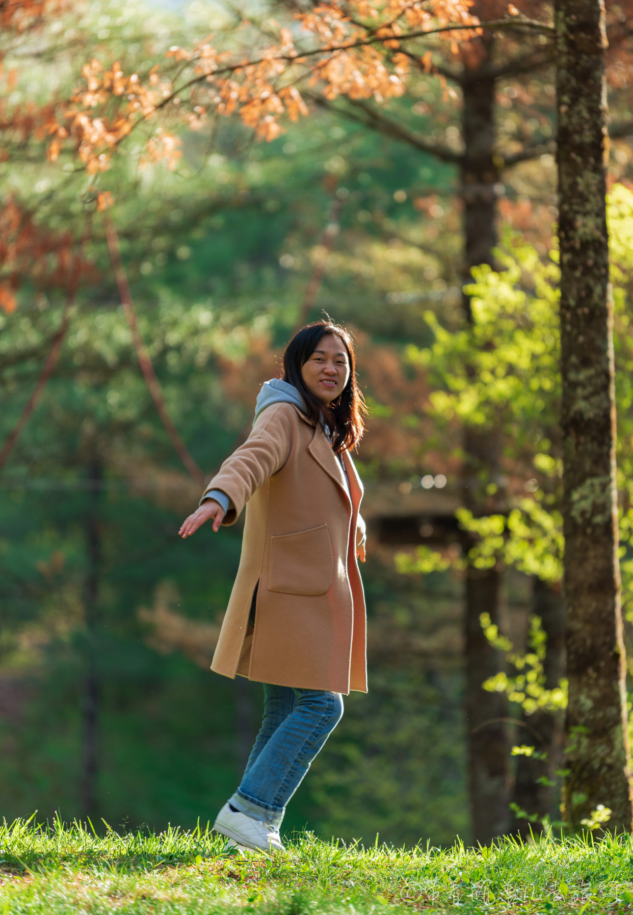 巫溪红叶自驾游,巫溪红池坝云中花海景点讲解