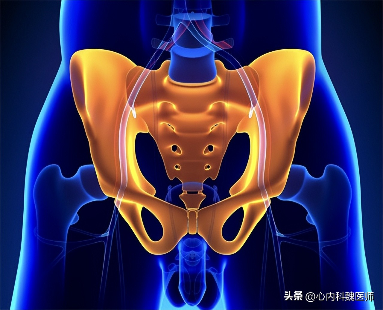 身体有病胯骨知道,身体有什么问题必须去医院看