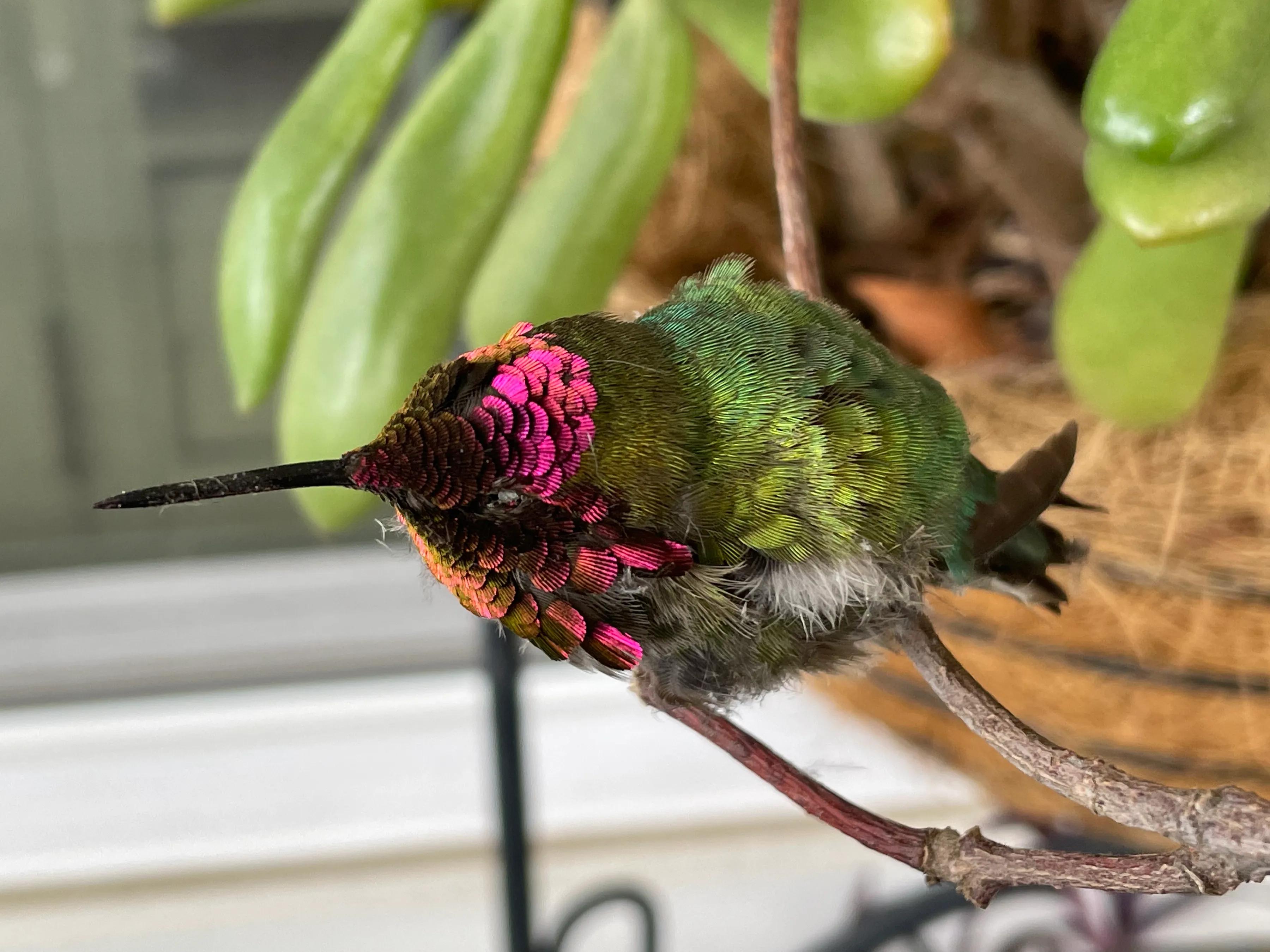 总有个地方现在是五点钟