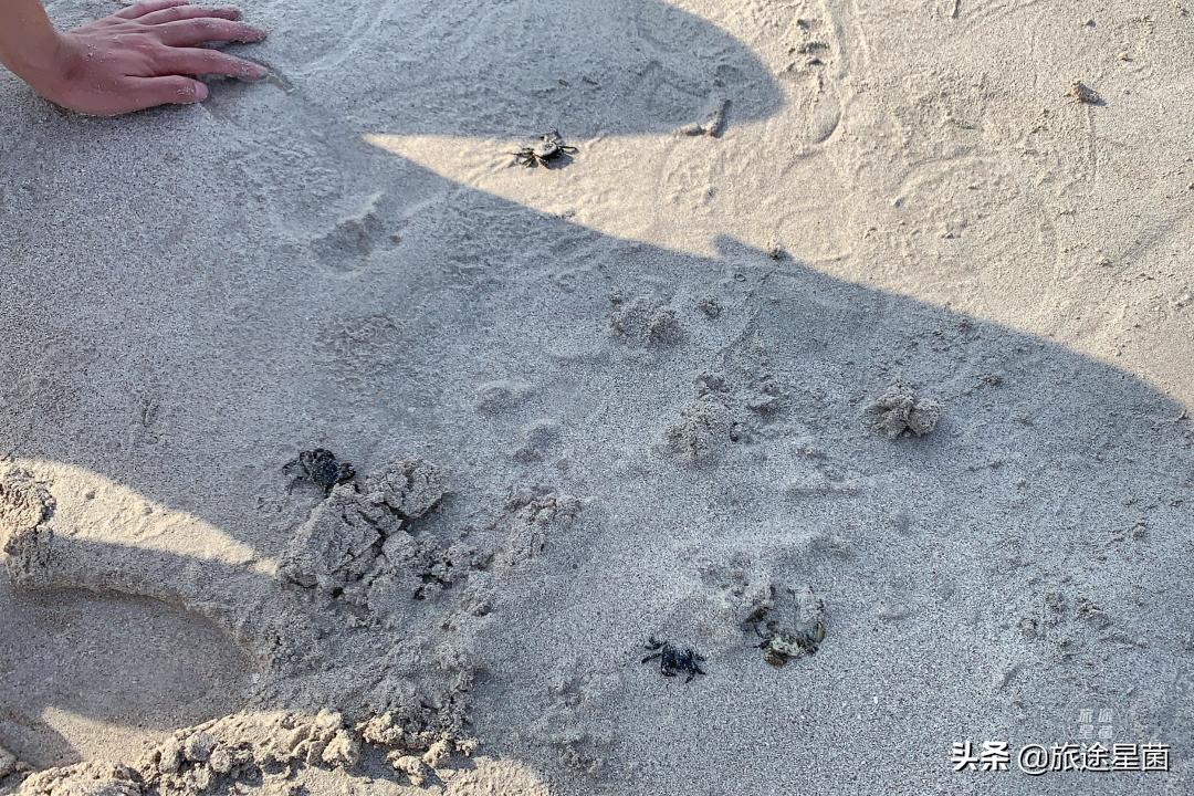 济州岛有雨季吗,韩国济州岛六月雨季