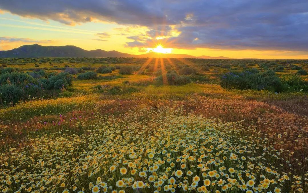 注意！含有这种成分的伴手礼！买了就是违法！
