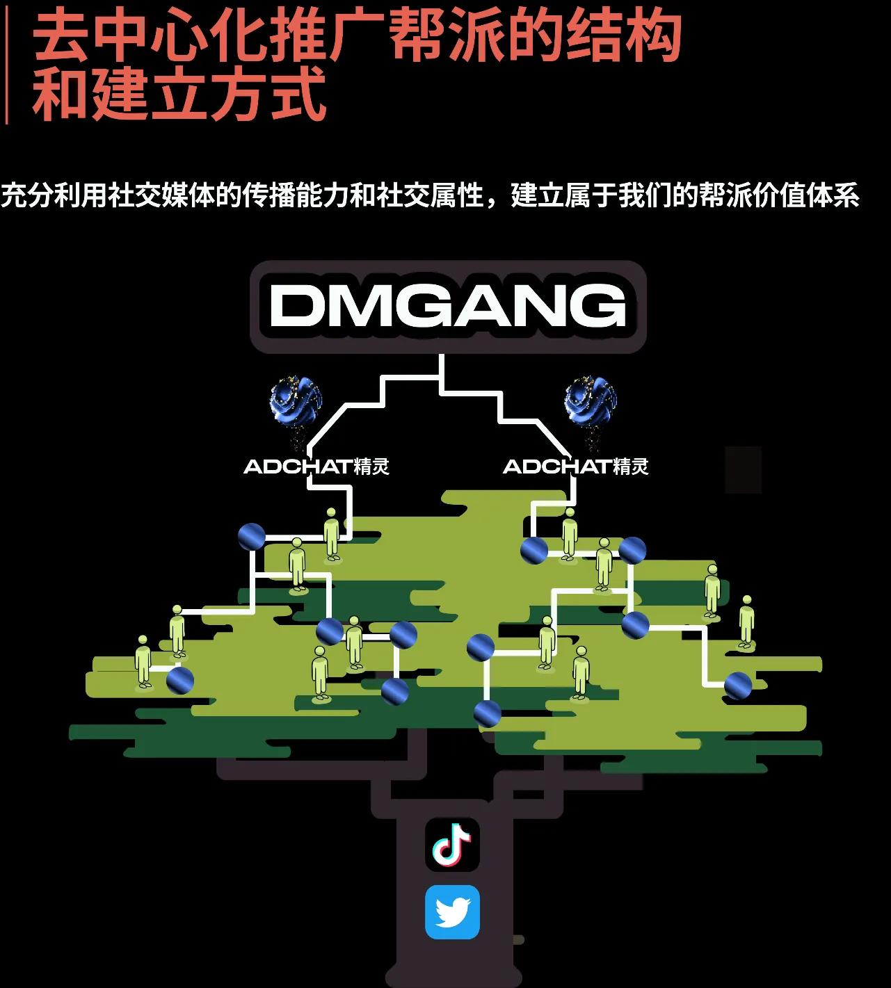 看tiktok教程,看tiktok怎么设置网络