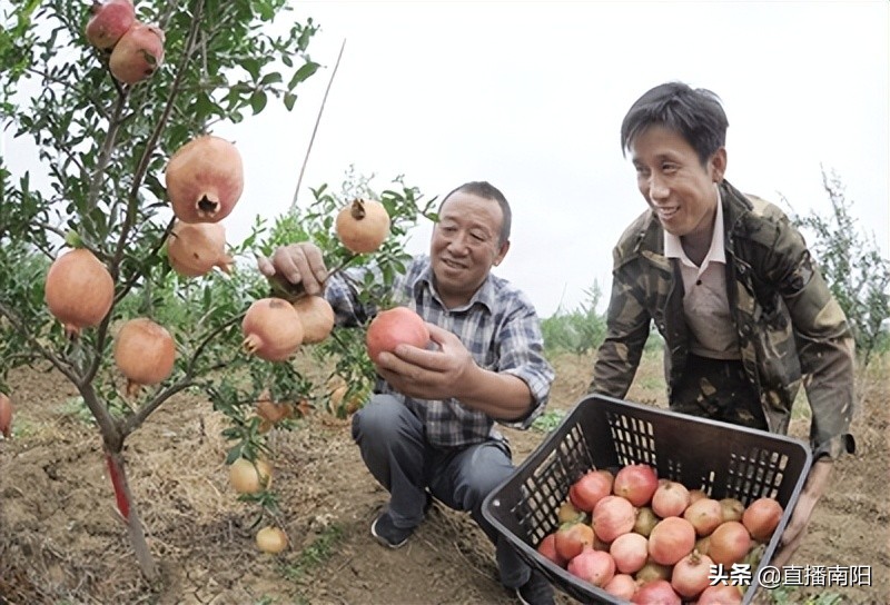 走绿色发展之路推动县域经济发展,走绿色发展之路开生态富民之花