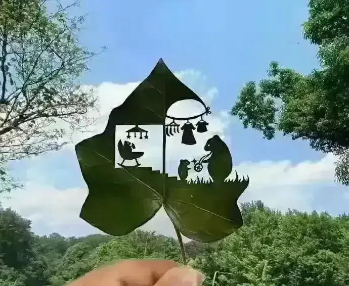 生活的美在于点点滴滴的发现,善于用双眼发现生活中的美