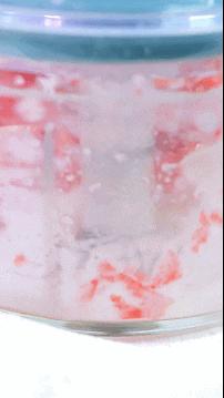 宝宝棒冰辅食,水果冰糕宝宝辅食