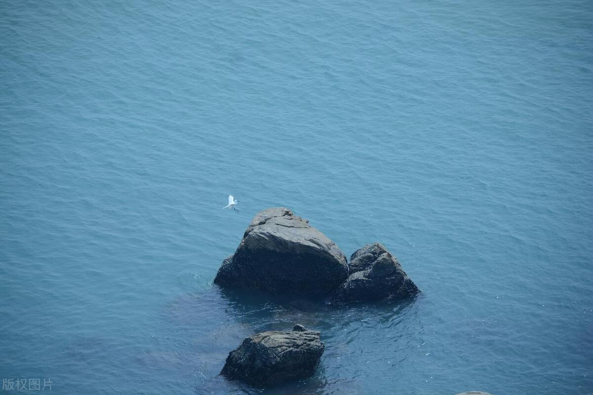 一个人在荒岛怎么求生,一个人被困荒岛