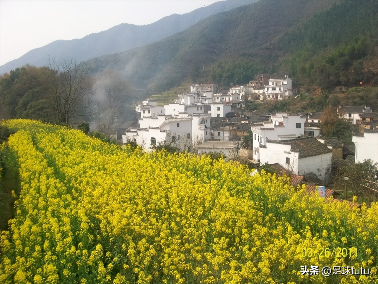 今日收获满满的感悟,今日收获200字