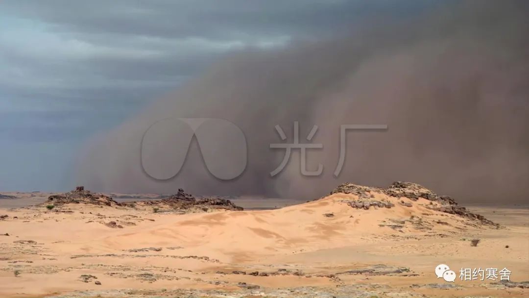 知乎公认最有文采的高考满分作文，每一篇都值得背诵，建议收藏