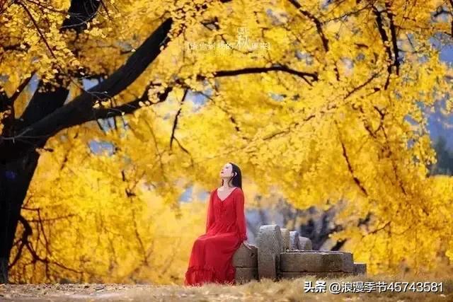 惊艳了时光优美散文,致自己的唯美散文