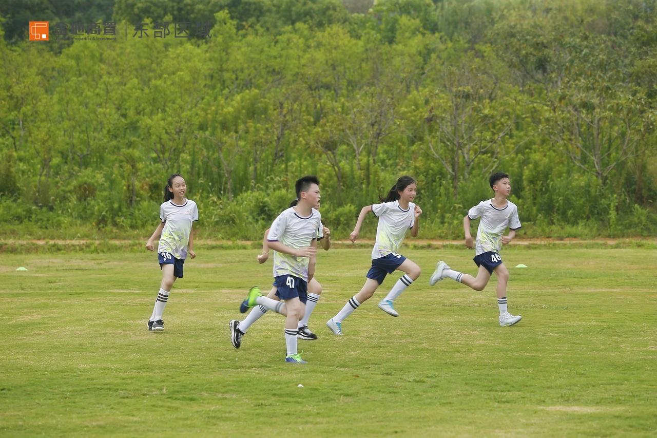 金地商置东部区域有限公司,金地商置东部区域