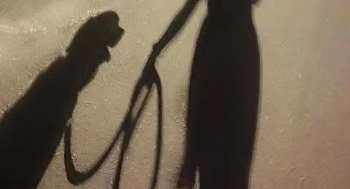 养狗一直不被狗抓,养狗不拴绳老是追人去哪里投诉