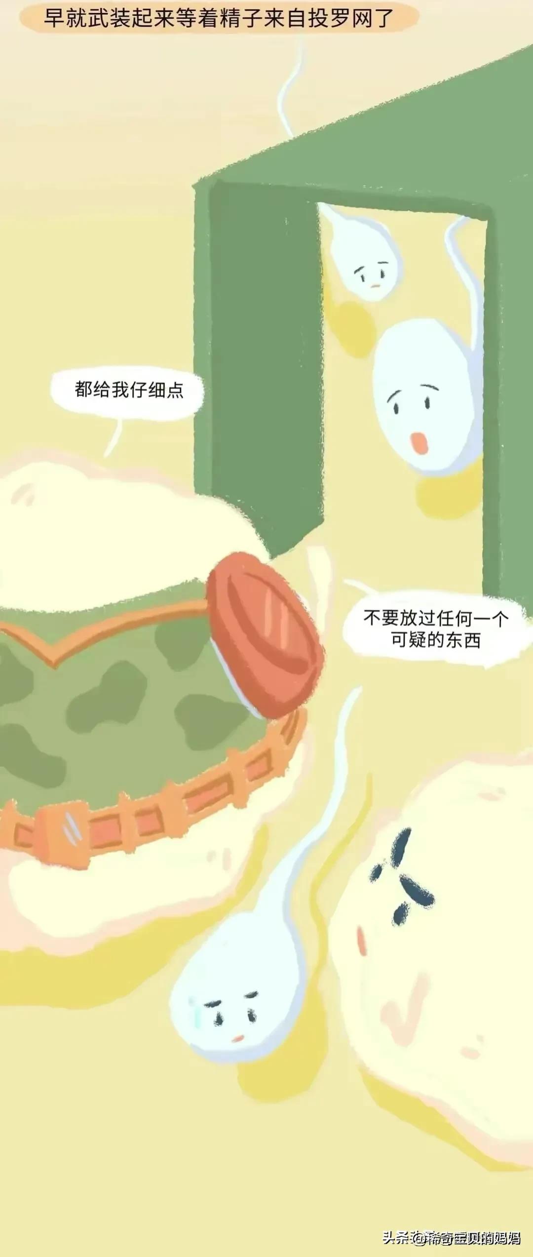 漫画深度解析：“小蝌蚪”进入女生体内的全过程