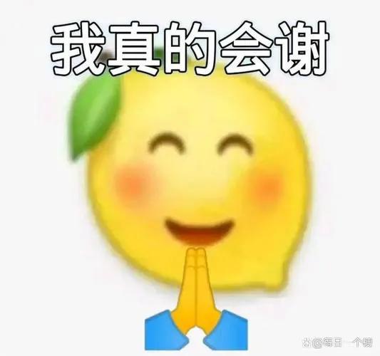 2022年十大网络流行词语,2021年网络流行热词你知多少