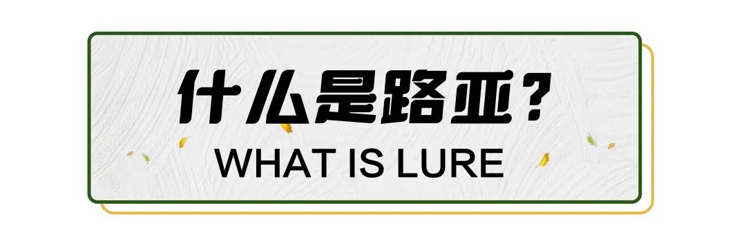 新手学钓鱼应该用什么鱼饵,想学钓鱼如何入门