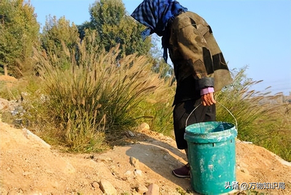 91岁老太感染艾滋病，老年艾滋患者逐年上涨，问题到底出在哪里？
