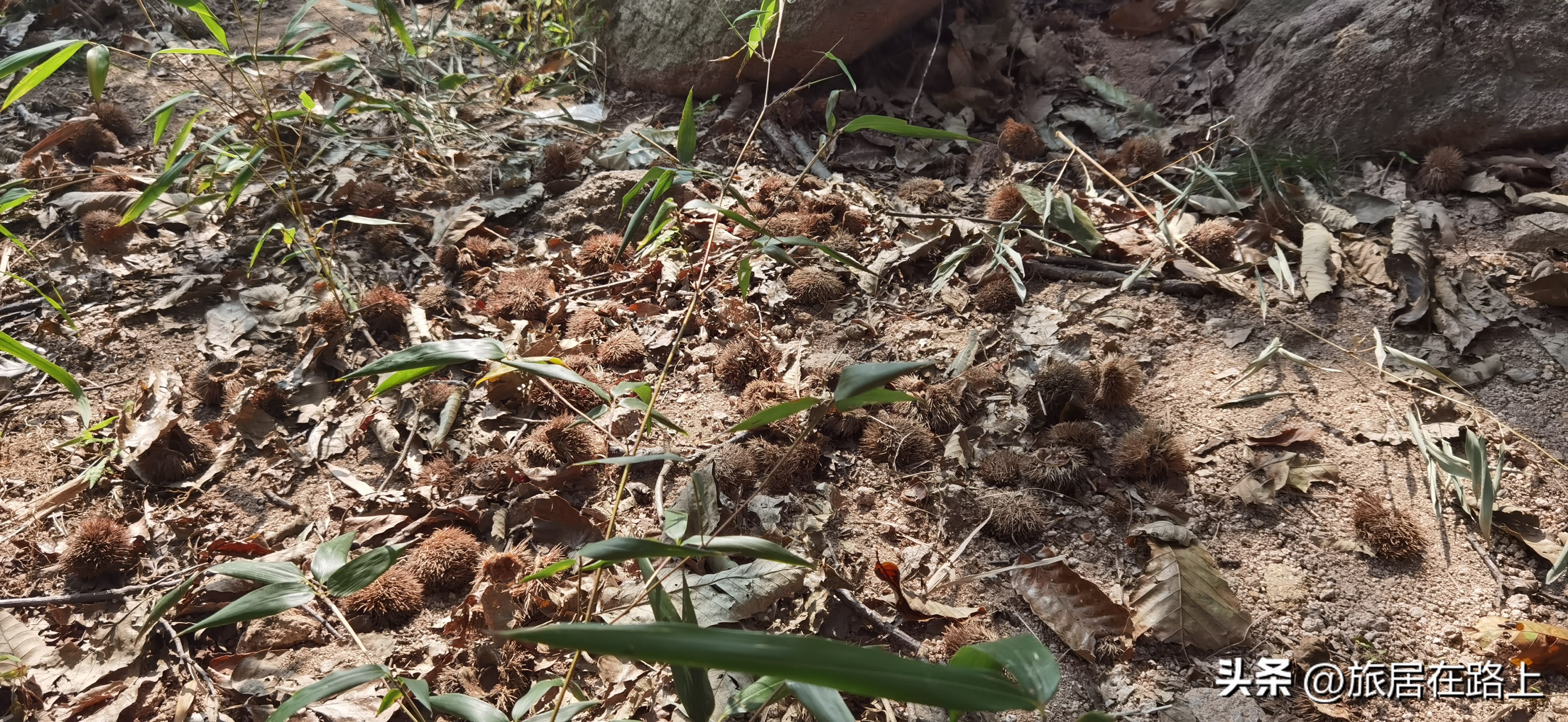 日照五莲九仙山,幽谷奇山异常壮美,山顶延绵数里一天都玩不完