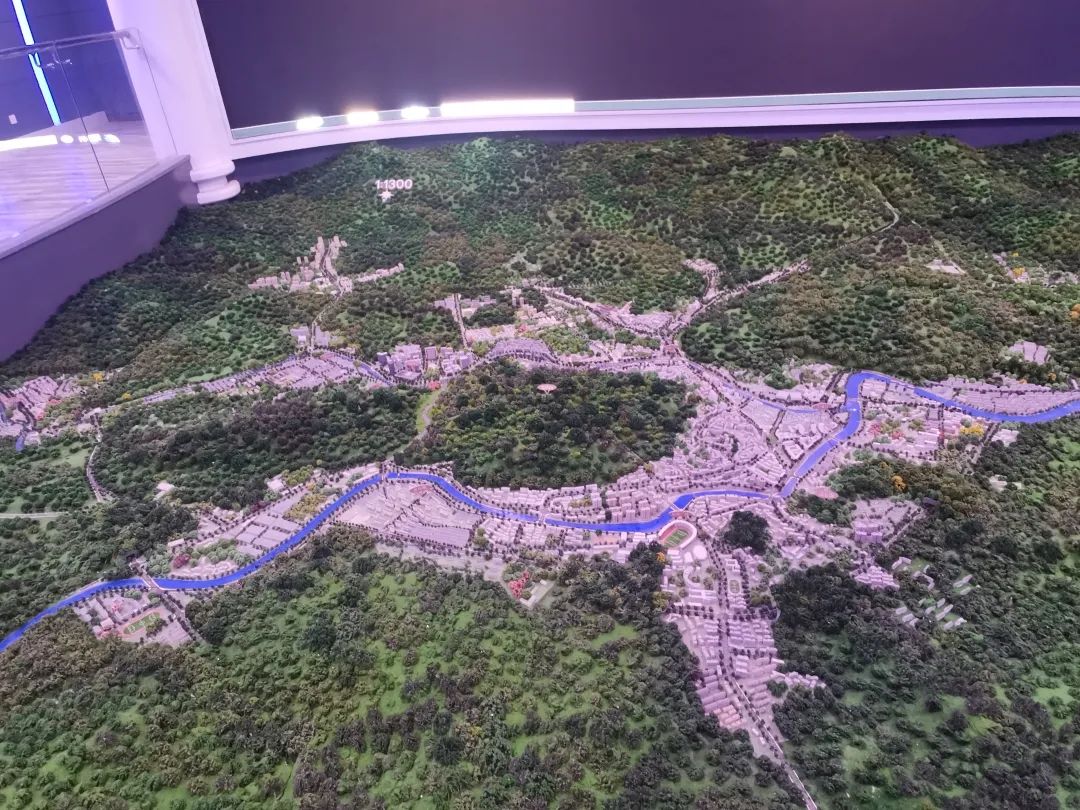 炒币暴富的真实故事,炒币暴富的真实经历