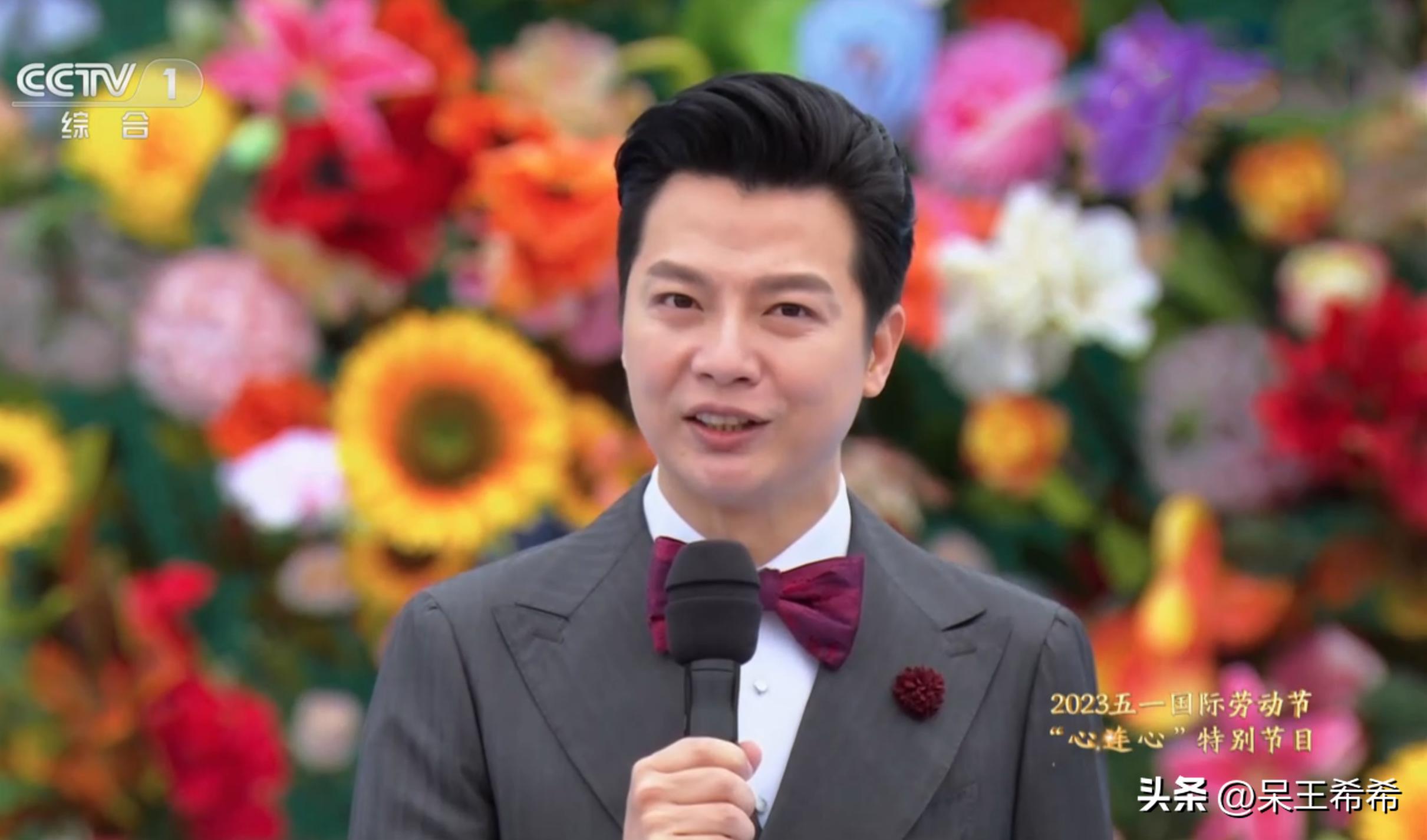 任鲁豫是接替康辉吗,任鲁豫康辉c位