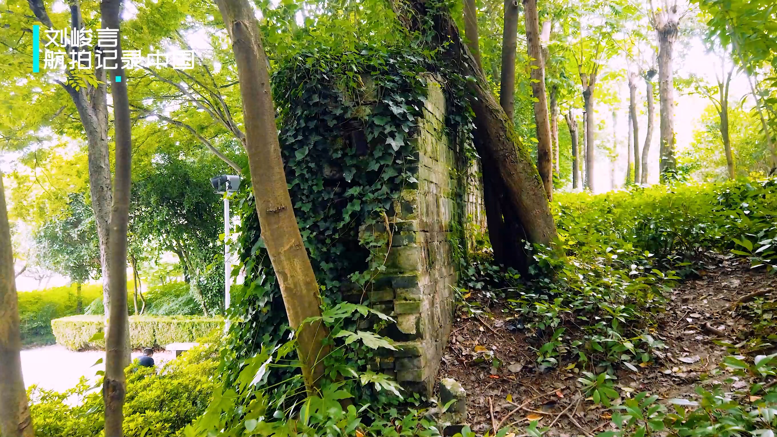 嘉定在上海属于什么样的存在,嘉定在上海是什么档次