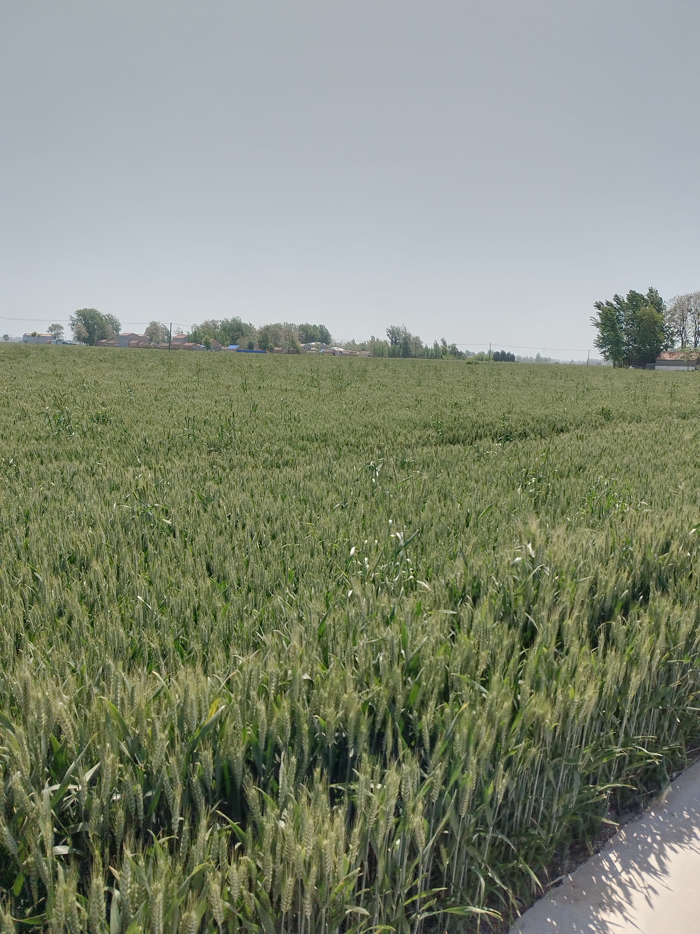 买五菱缤果顶配,五菱缤果plus多少钱