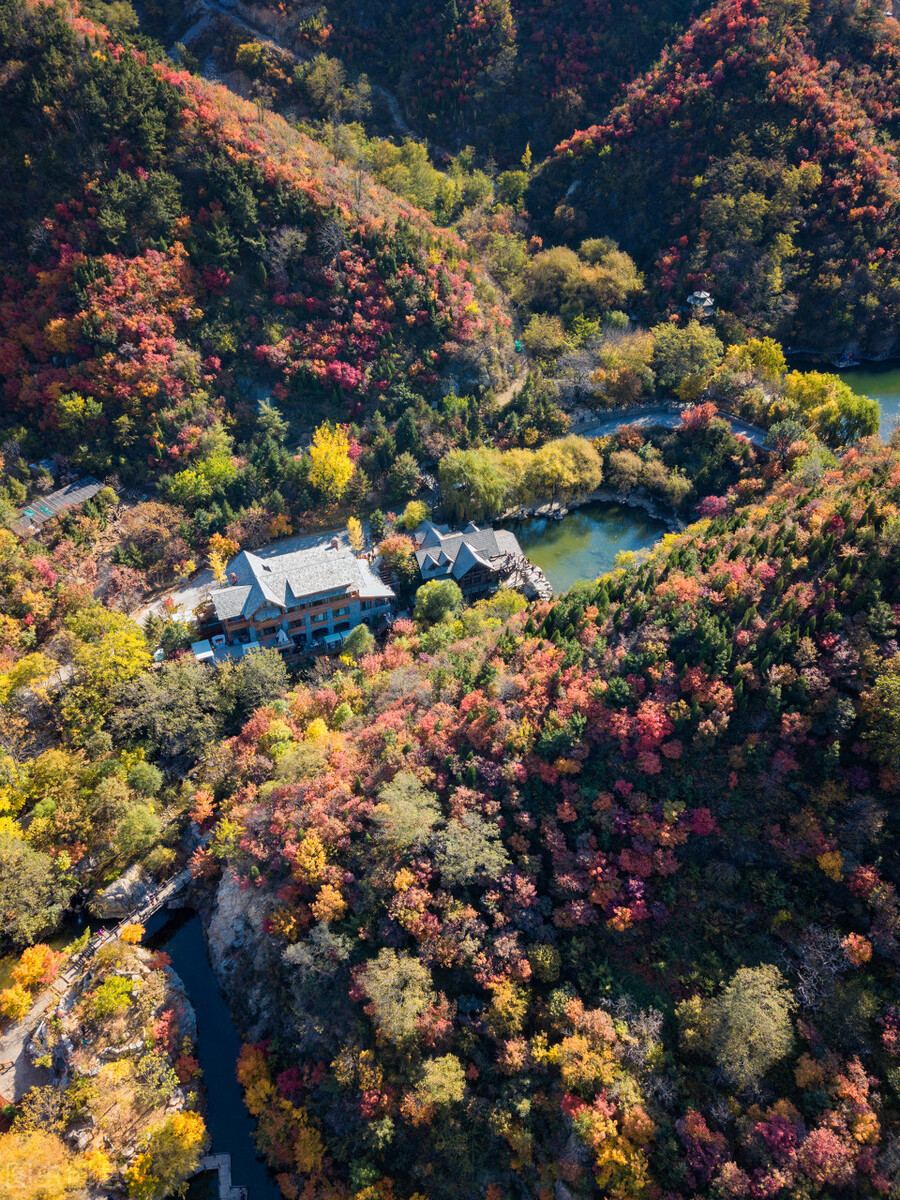 没想到济南的秋天竟然可以这样美,秋天济南哪个景区最美