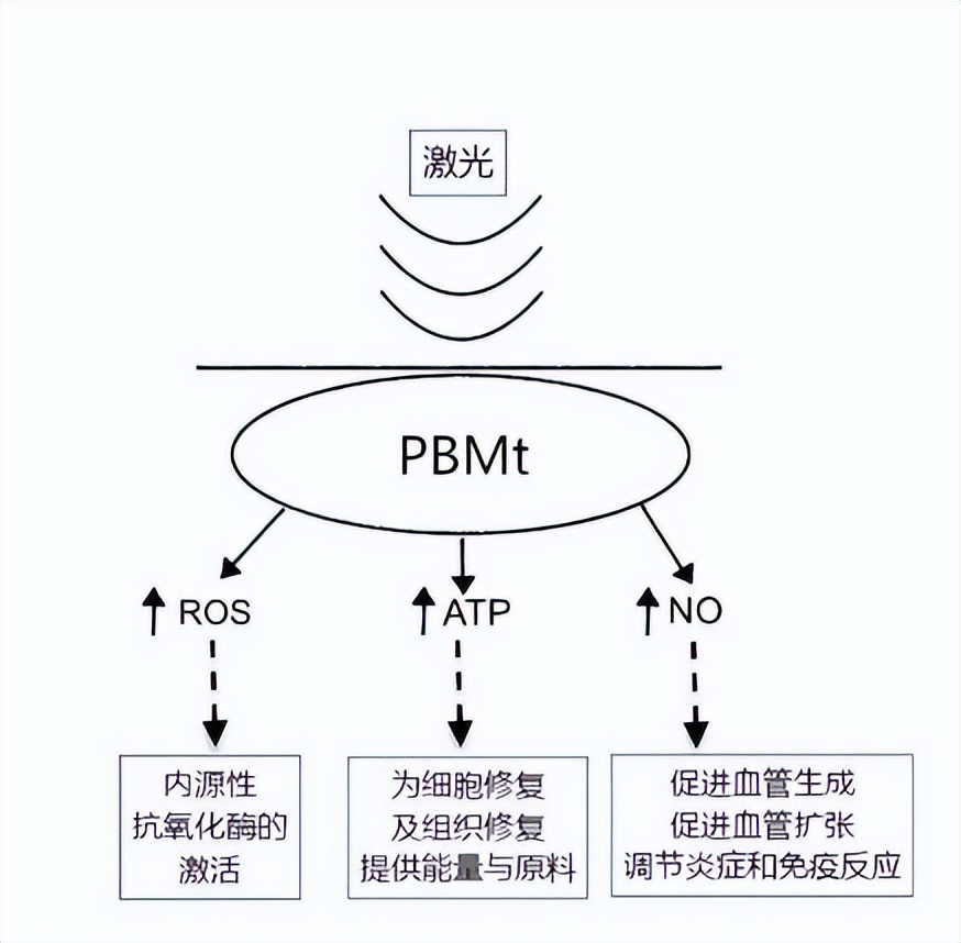生发头盔生发仪真的有效果吗,激光生发仪是智商税吗