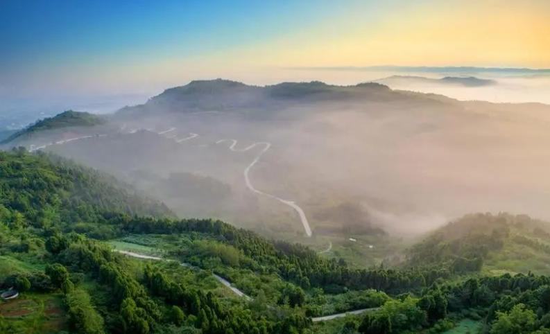 四川饮酒怪象：泸五剑名满天下，但这4款在老百姓中也有口皆碑