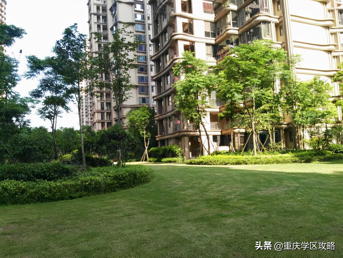 优质小学和优质初中对房价的影响,沙区重点学区