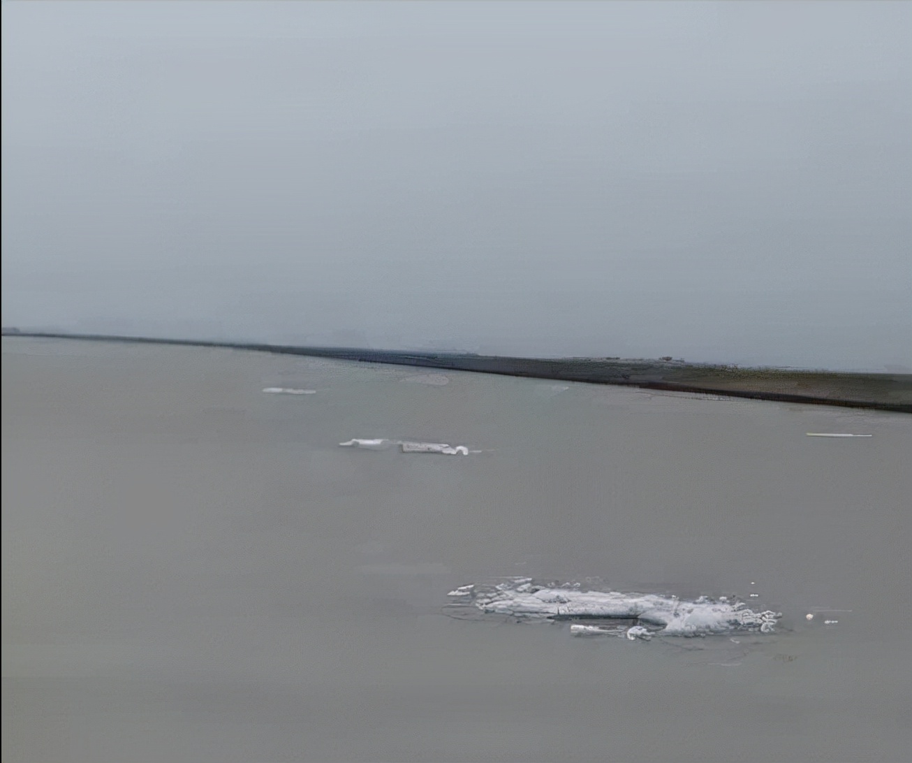 海参捕捞的最佳时间,海参进棚什么状态好