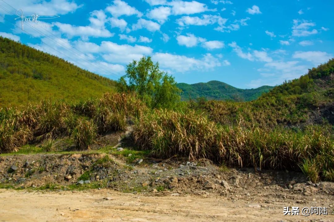 生活不仅有远方和苟且，还有“三蹦子”和矿坑，坐标杭州
