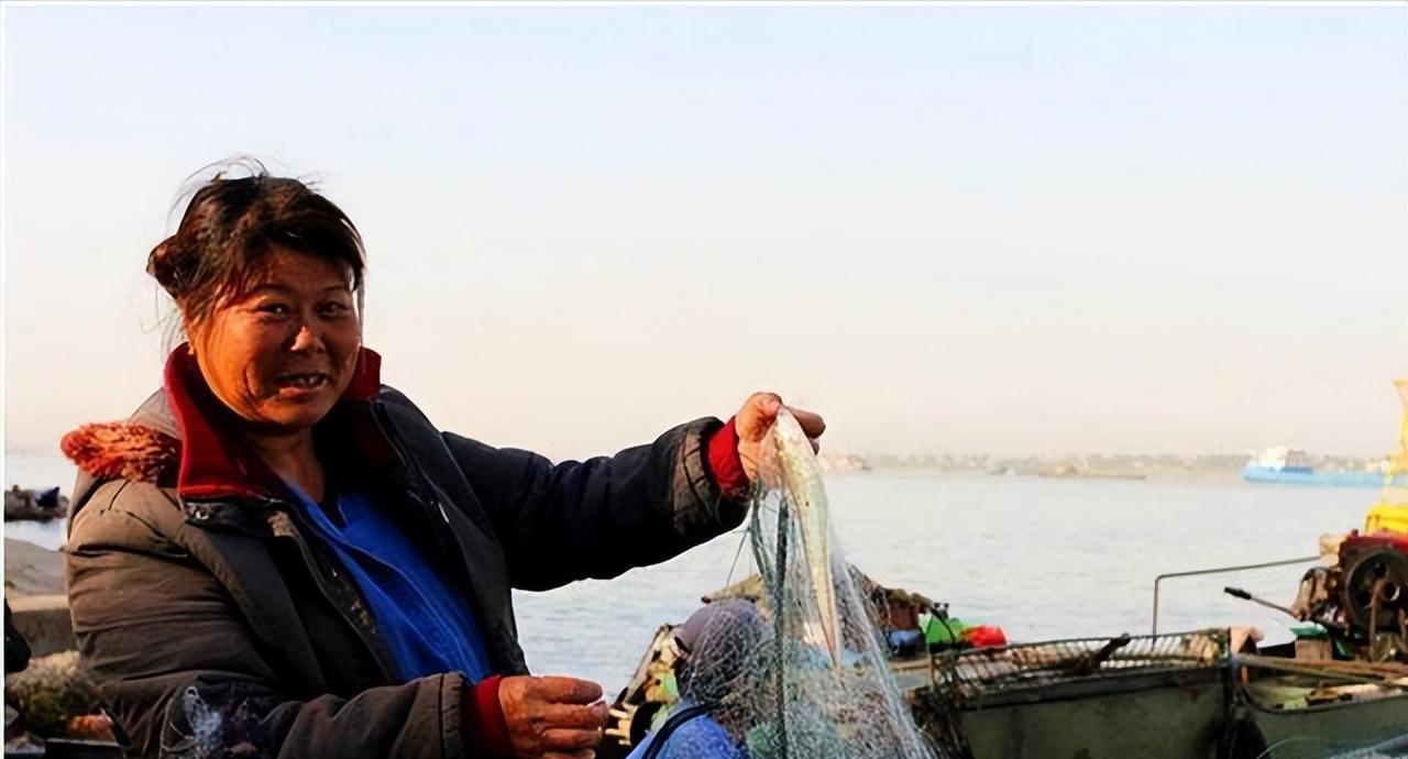 长江刀鱼是什么时候列入保护的,长江刀鱼几月份的最好