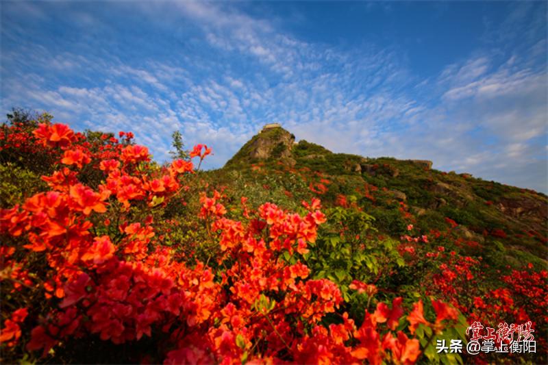 衡山康养,南岳衡山国际中医康养产业园