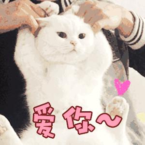 药可以直接吃吗,胶囊的药能拆开吃吗