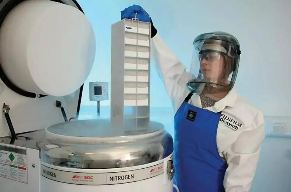 日本人动物胚胎实验长啥样,日本人动物胚胎实验