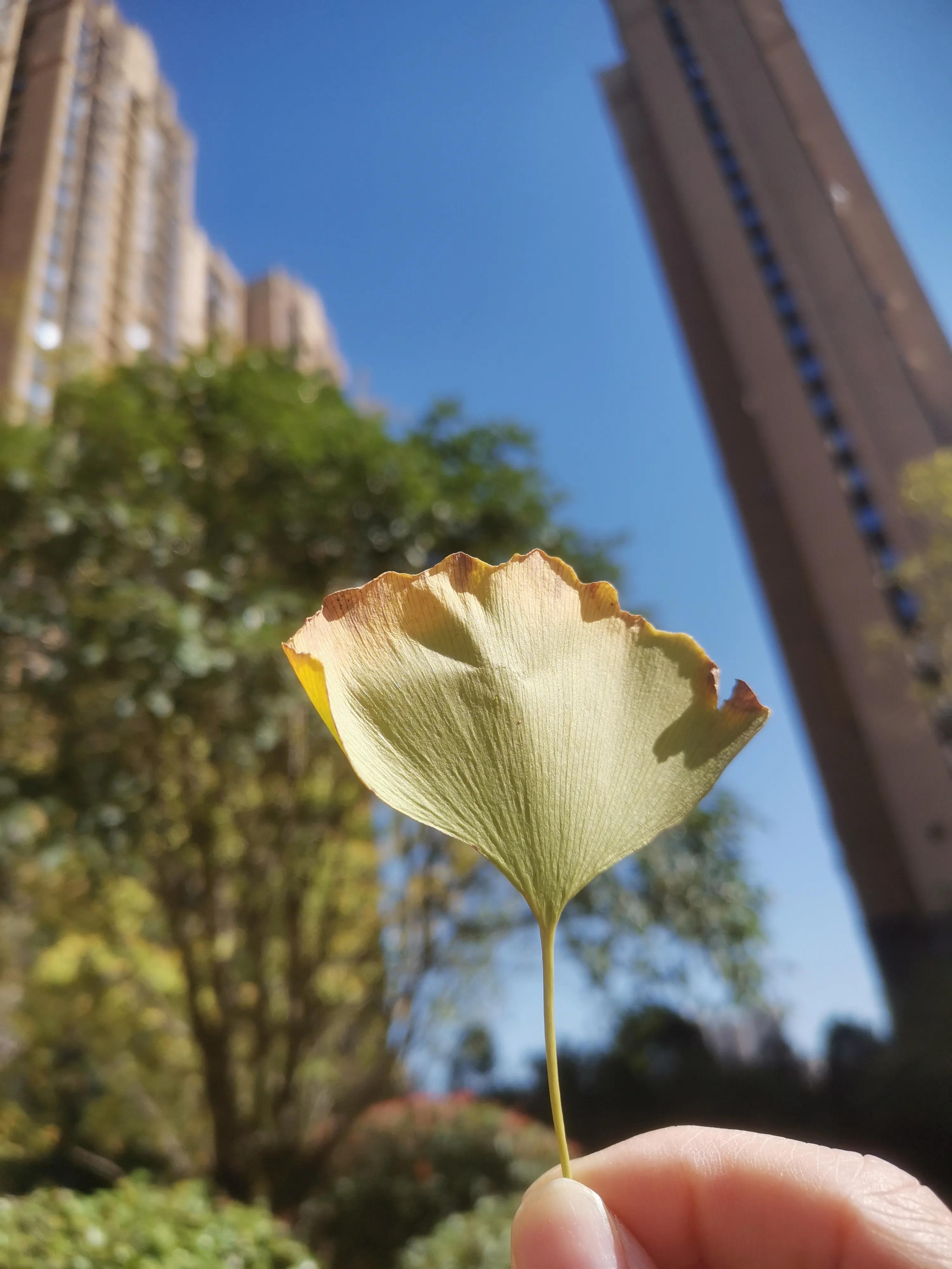新的一月第一天文案高级感走心,关于这一年文案简单高级
