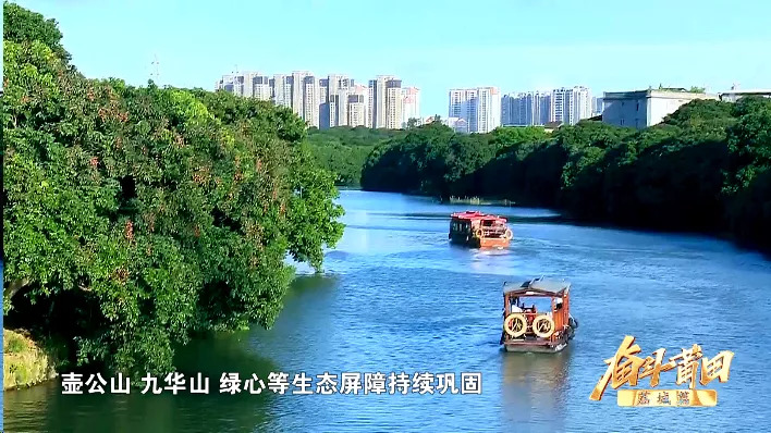 奋斗莆田话,莆田奋斗故事