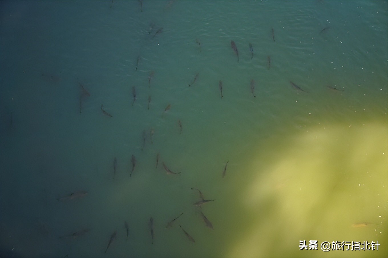 福建旅游攻略武夷山,福建武夷山旅游攻略一日游