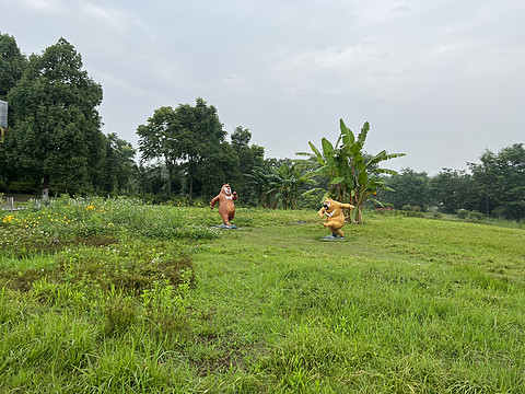 窗含西岭千秋雪成都环球中心雪山,窗含西岭千秋雪魅力成都