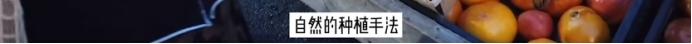 95后女孩过“穷酸”生活，不用卫生巾、一条裤子穿10年，好快乐