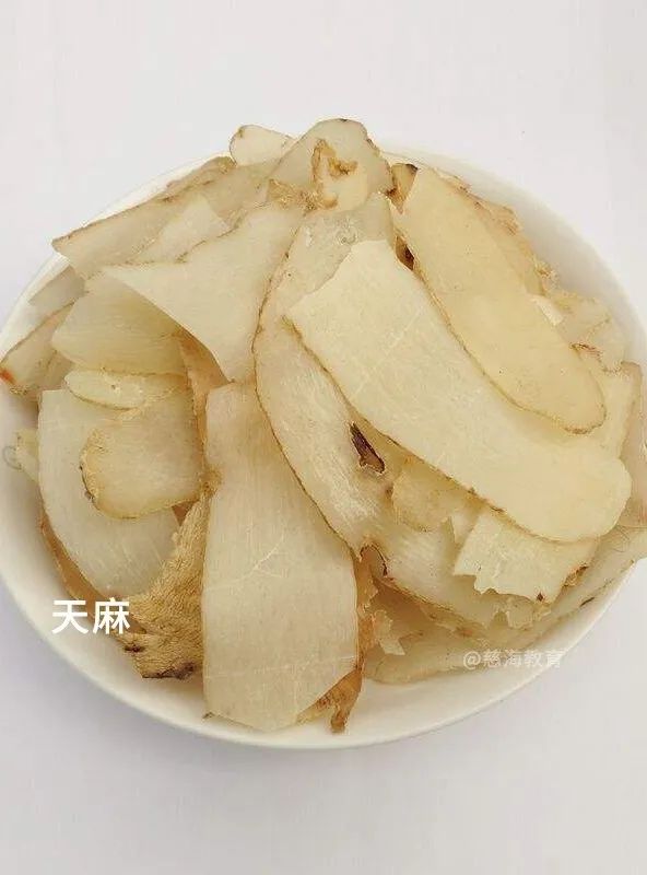 每天学习一味中药僵蚕,每日讲解一味中药天麻