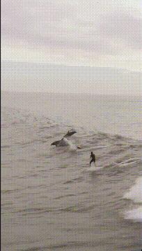 有没有结婚找不到伴娘的尴尬,实在找不到伴娘