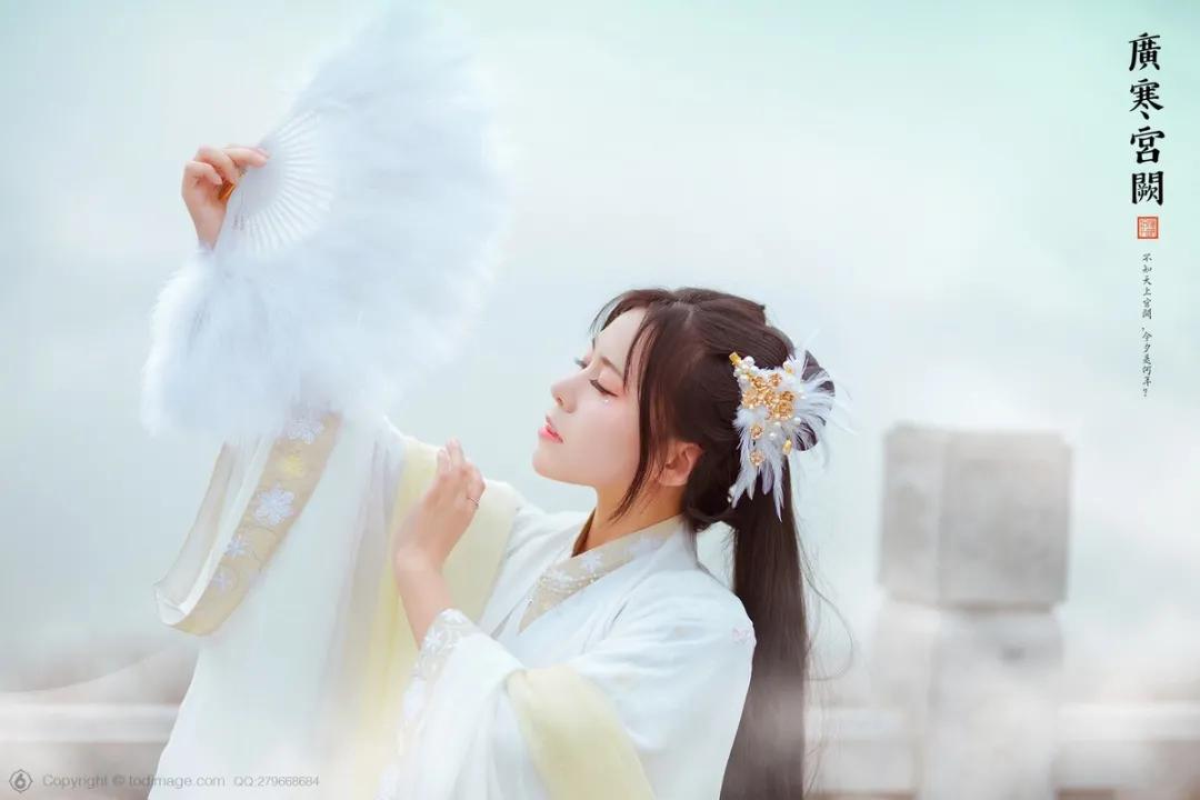 相思共赋|最高楼