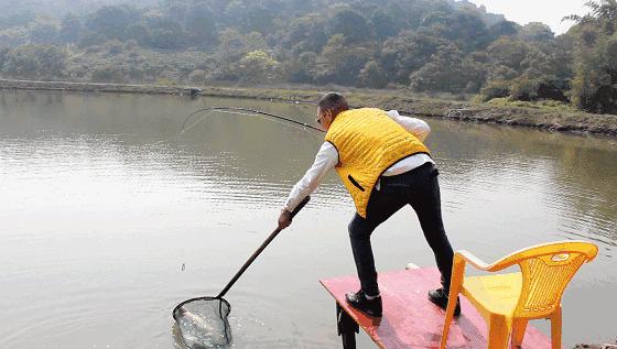 假日模式去哪里玩,假日旅游模式开启
