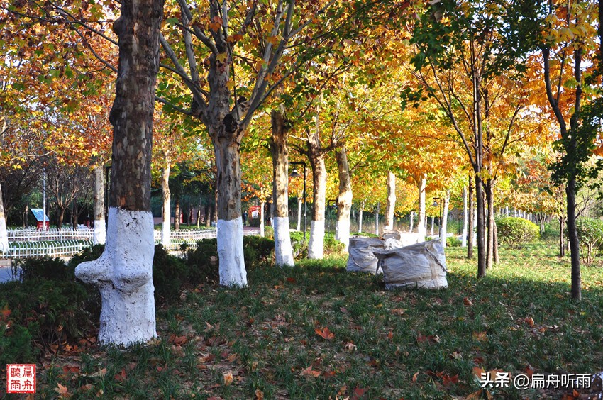 7月郑州凉快遛娃公园排行榜,郑州龙子湖避暑遛娃的地方