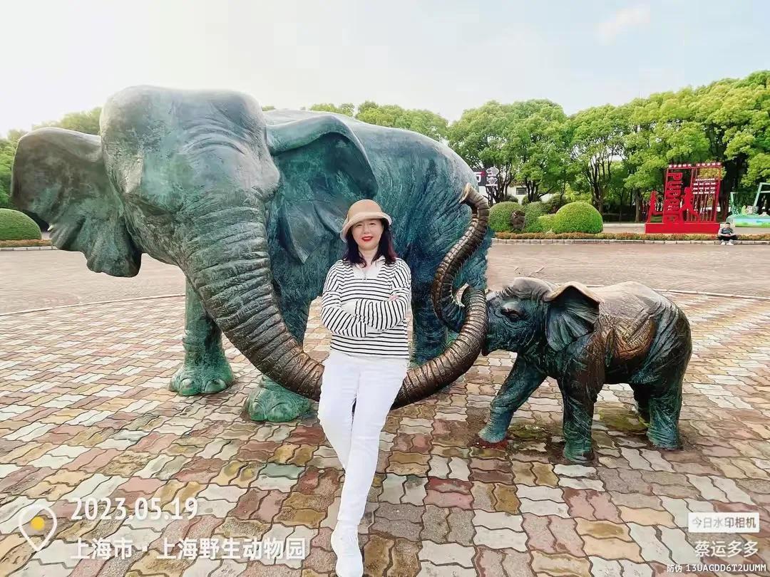 上海野生动物园和上海动物园,上海野生动物园过年营业时间