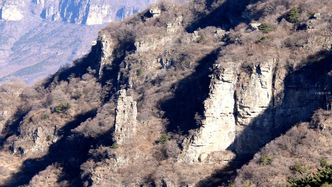 王莽岭在什么地方,王莽岭景区免费开放吗